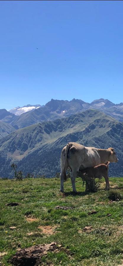 Le 41 Avenue Foch Bagnères-de-Luchon